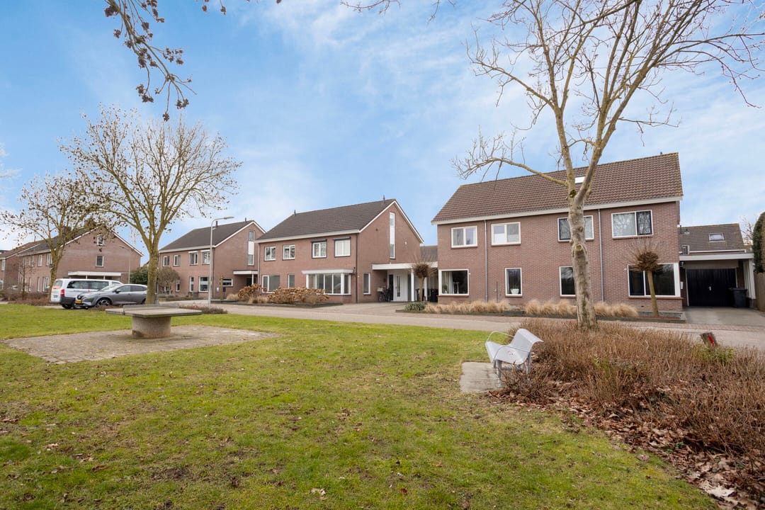 Photo 47 of Koolmees 17