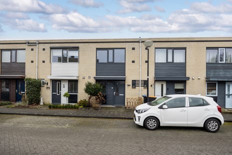 undefined main image