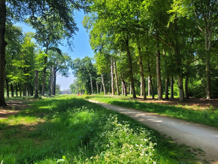 Foto 10 van Rijksstraatweg 221-A