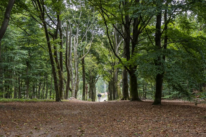 Foto 13 van Rijksstraatweg 221-A