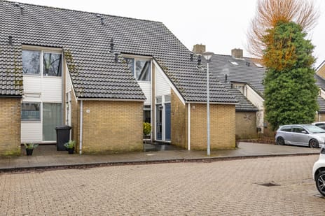 undefined main image