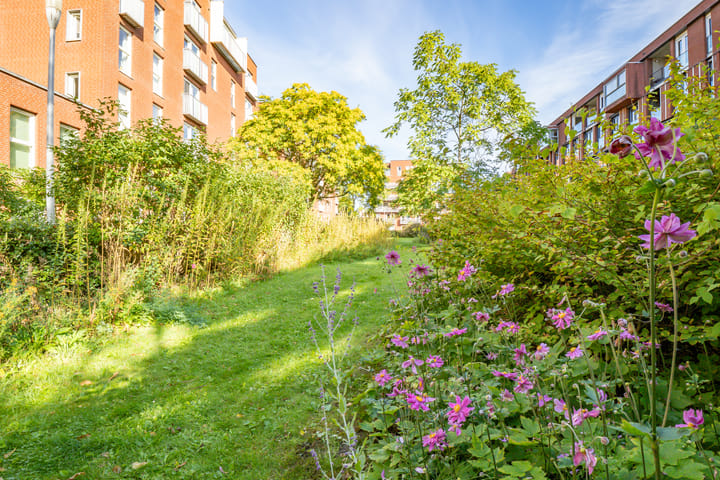 Foto 40 van Rolderdiephof 161