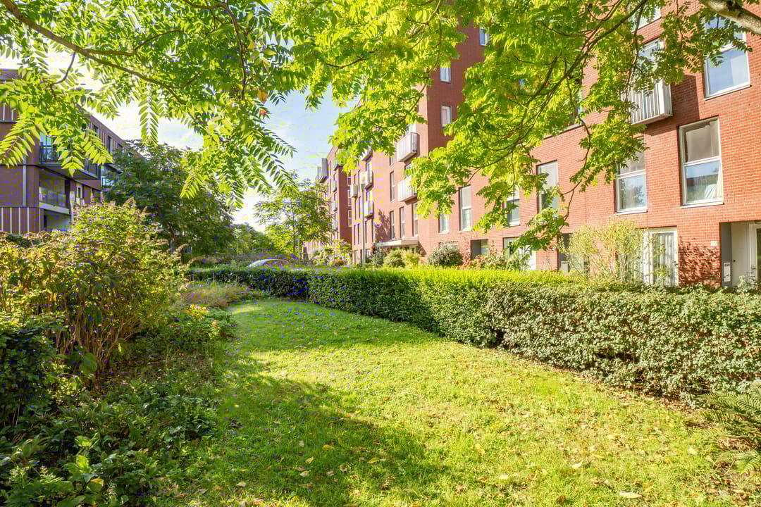 Foto 41 van Rolderdiephof 161