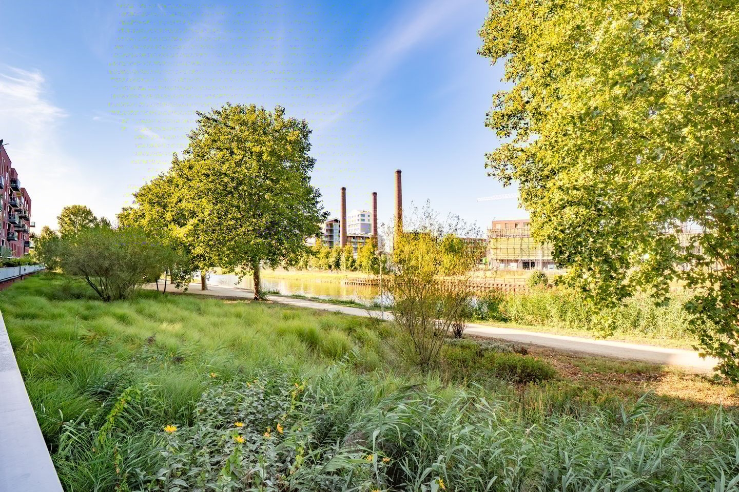 Foto 44 van Rolderdiephof 161