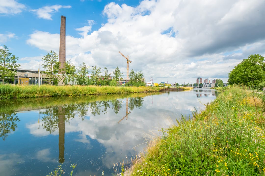 Foto 47 van Rolderdiephof 161