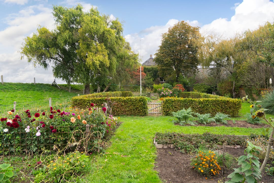 Foto 1 van Berghuizen 40