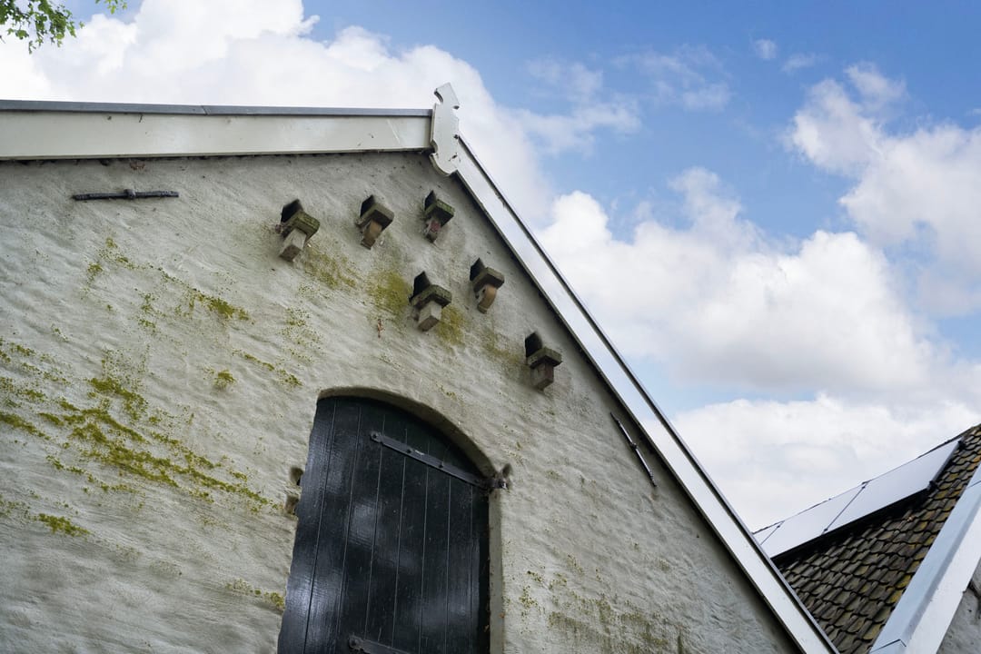 Foto 46 van Berghuizen 40