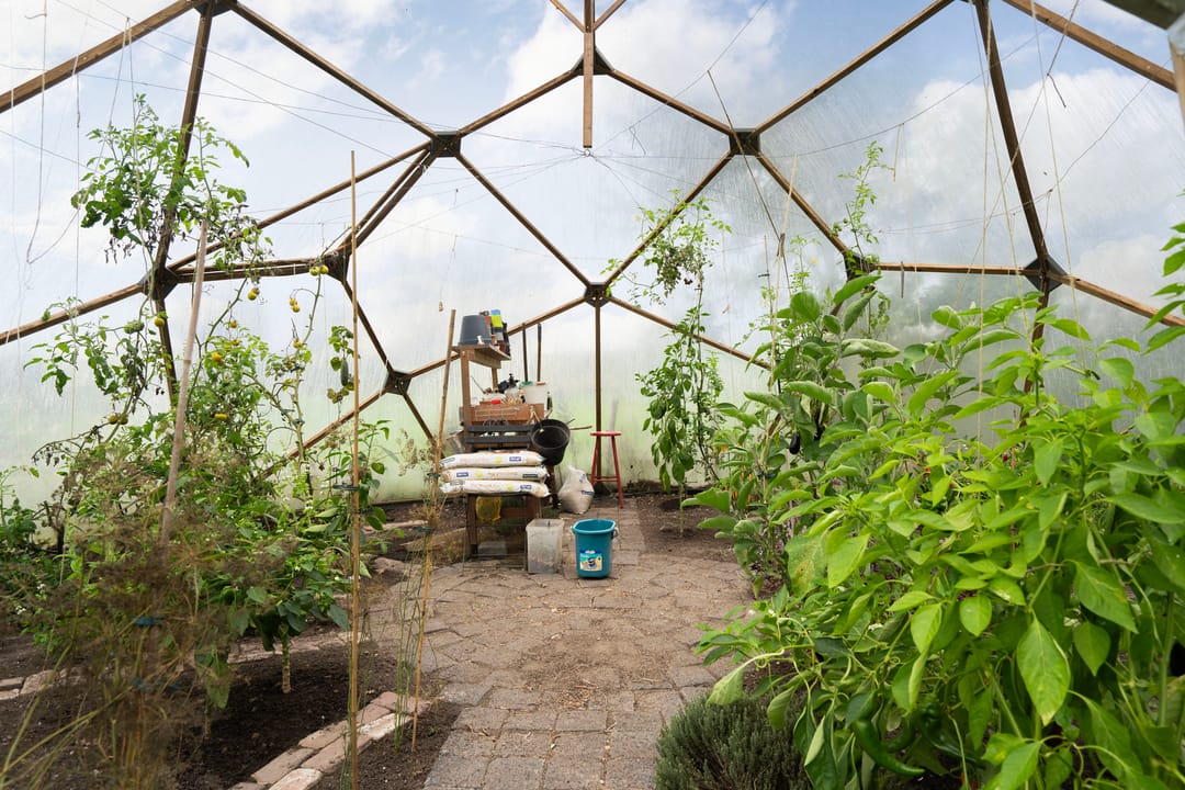 Foto 53 van Berghuizen 40