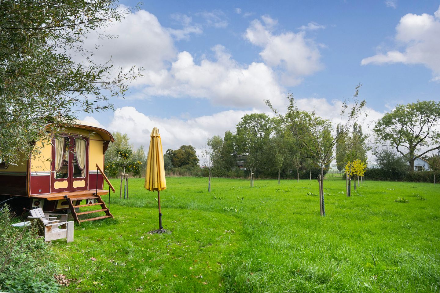 Foto 55 van Berghuizen 40