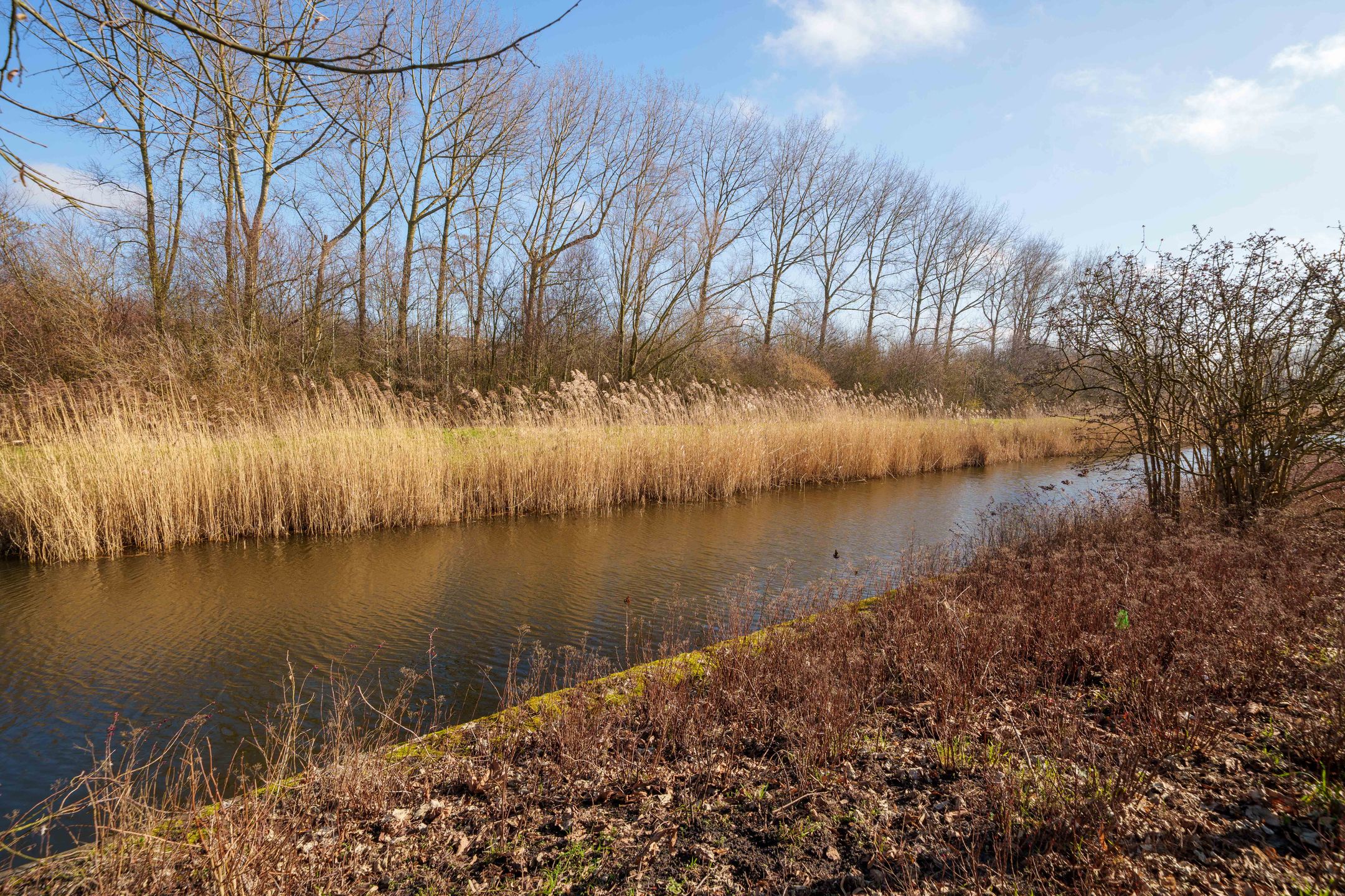 Photo 42 of Maldivenweg 104