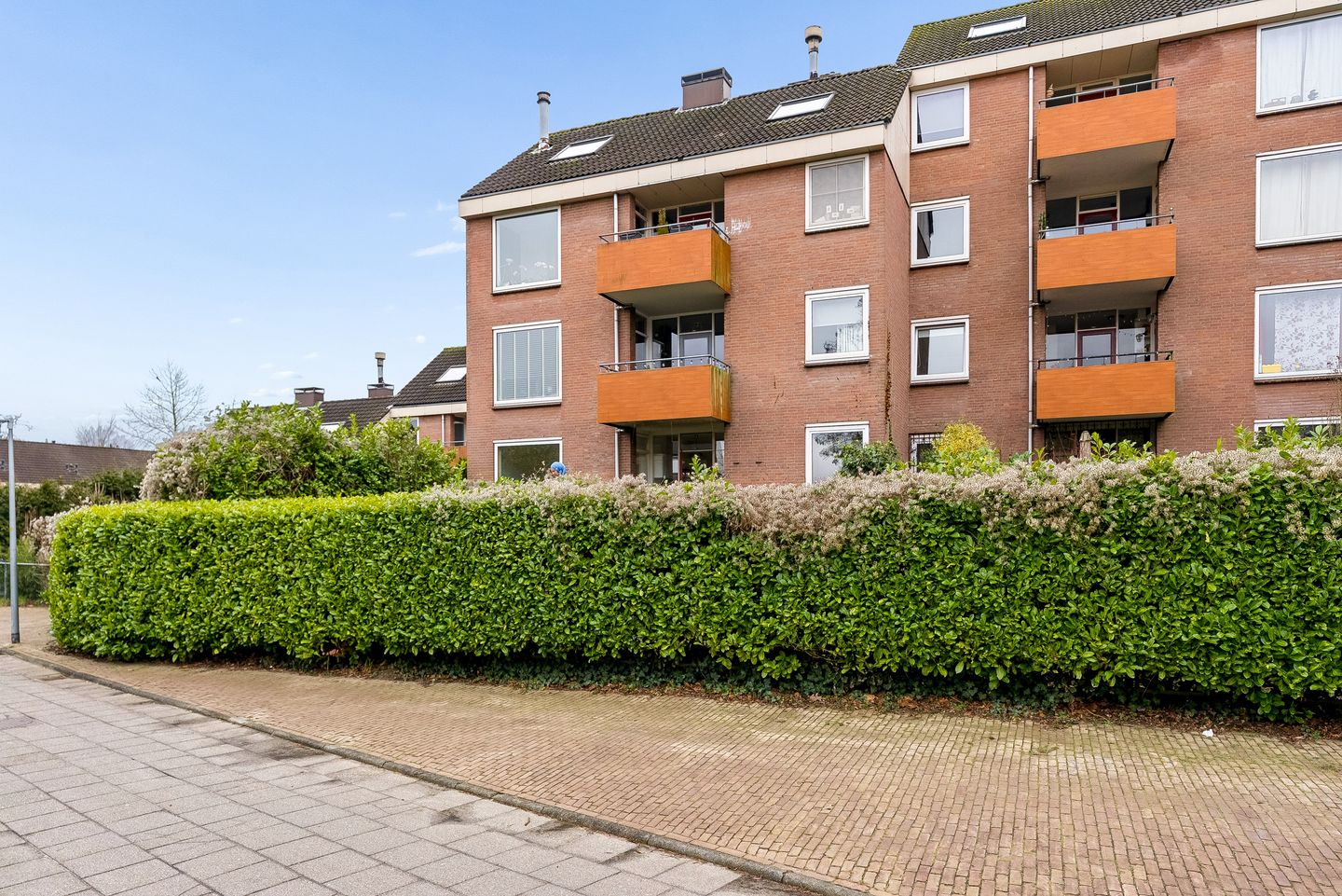 Foto 40 van Hofmark 355