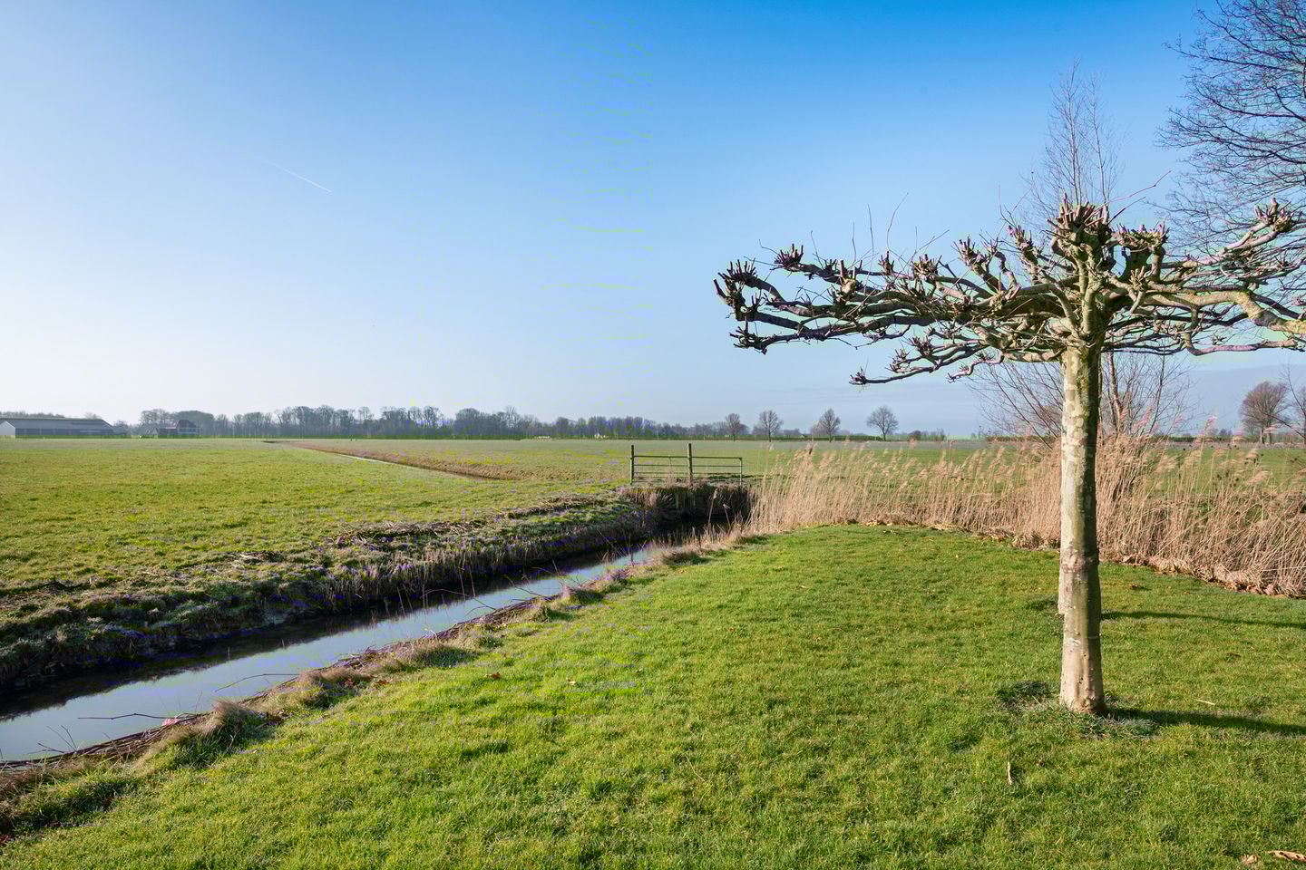 Foto 40 van De Greiden 14