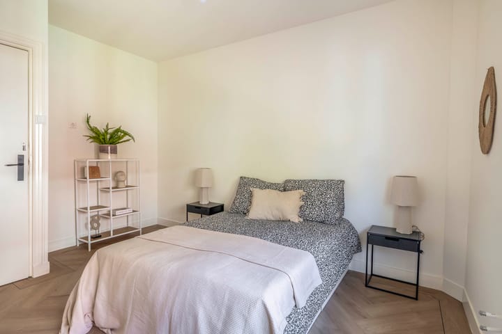 Fully Renovated Characteristic Detached Home in Sought-After Schrijversbuurt — 50