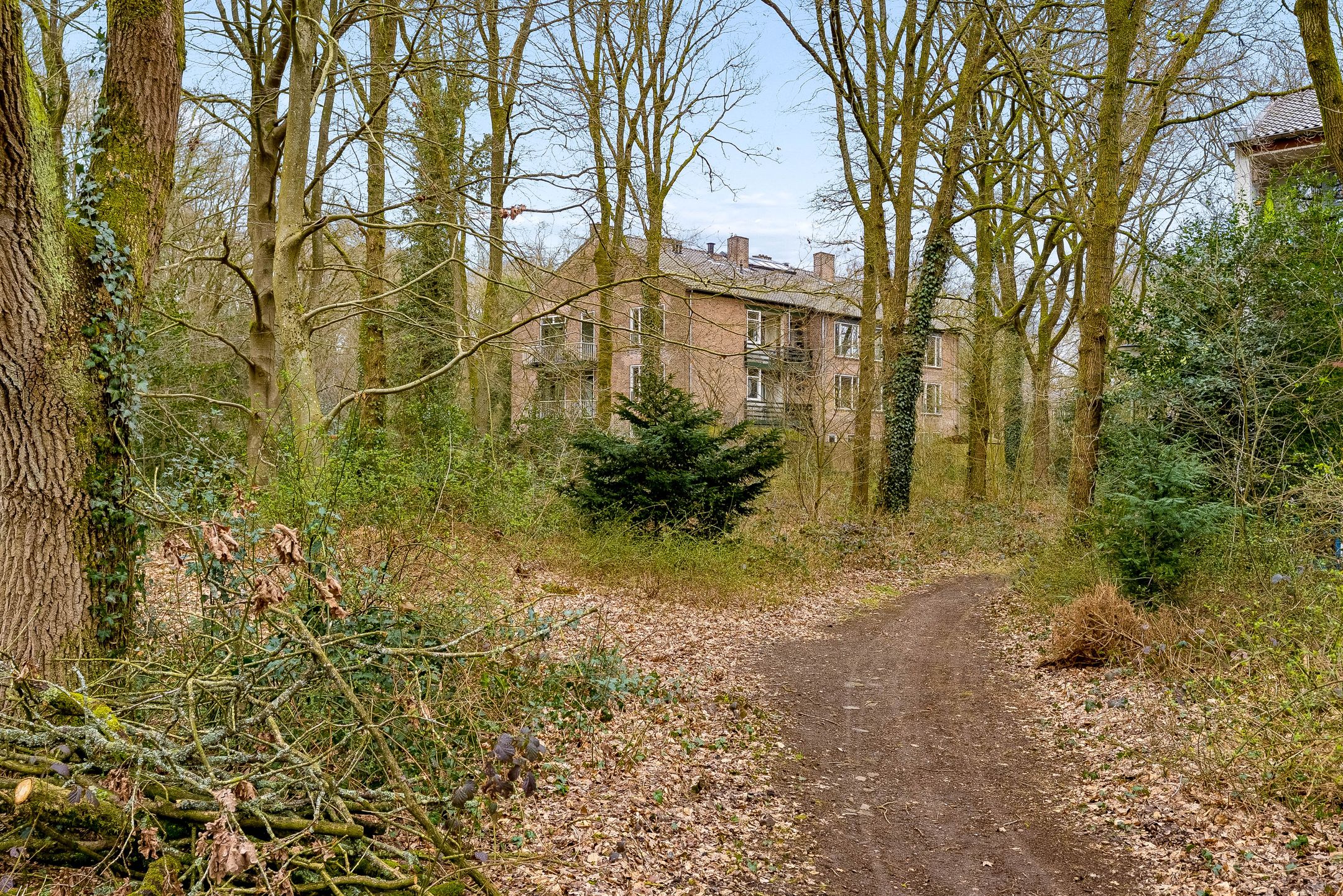 Foto 63 van Arubalaan 42-C