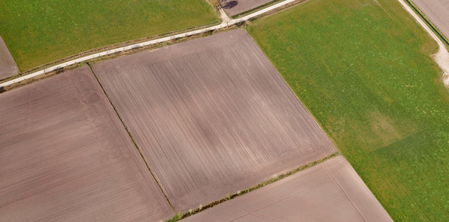 Bekijk foto 5 van Preuskesdijk