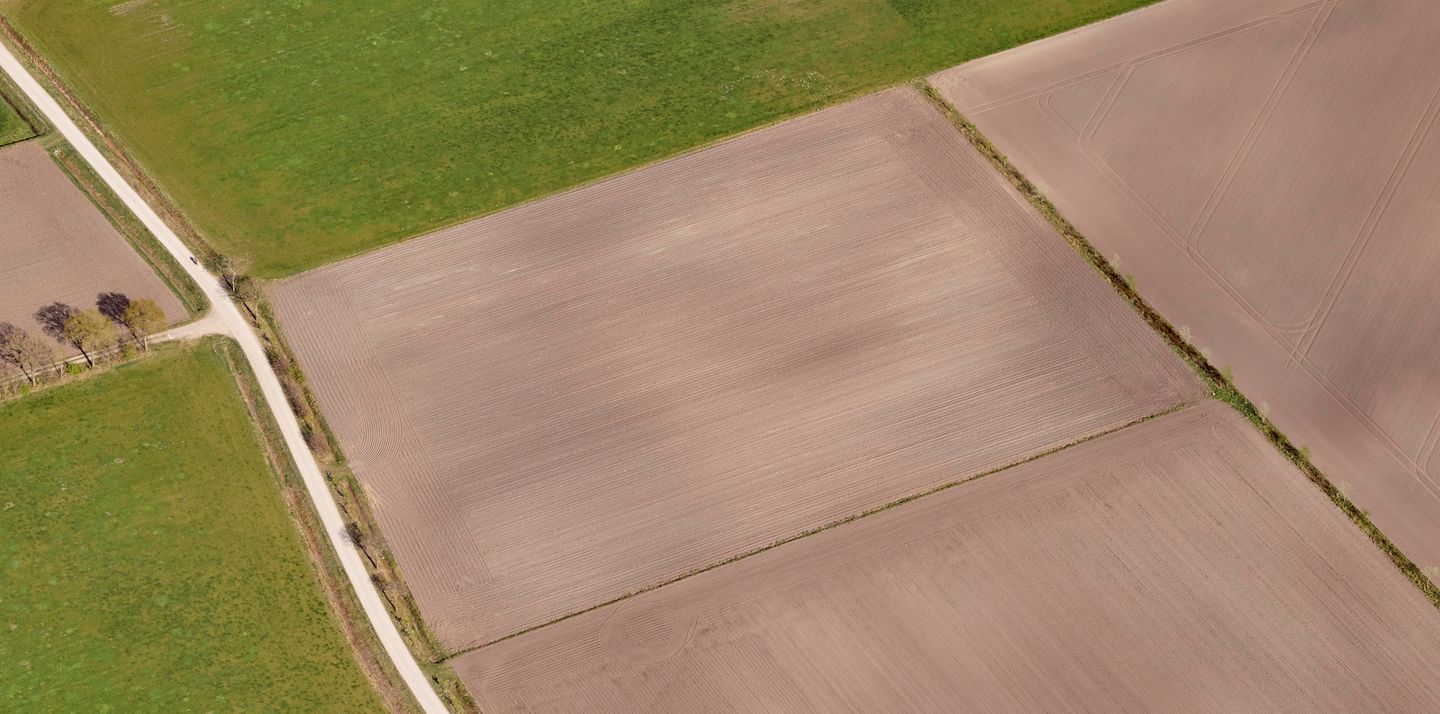 Preuskesdijk - Panningen - Afbeelding 7