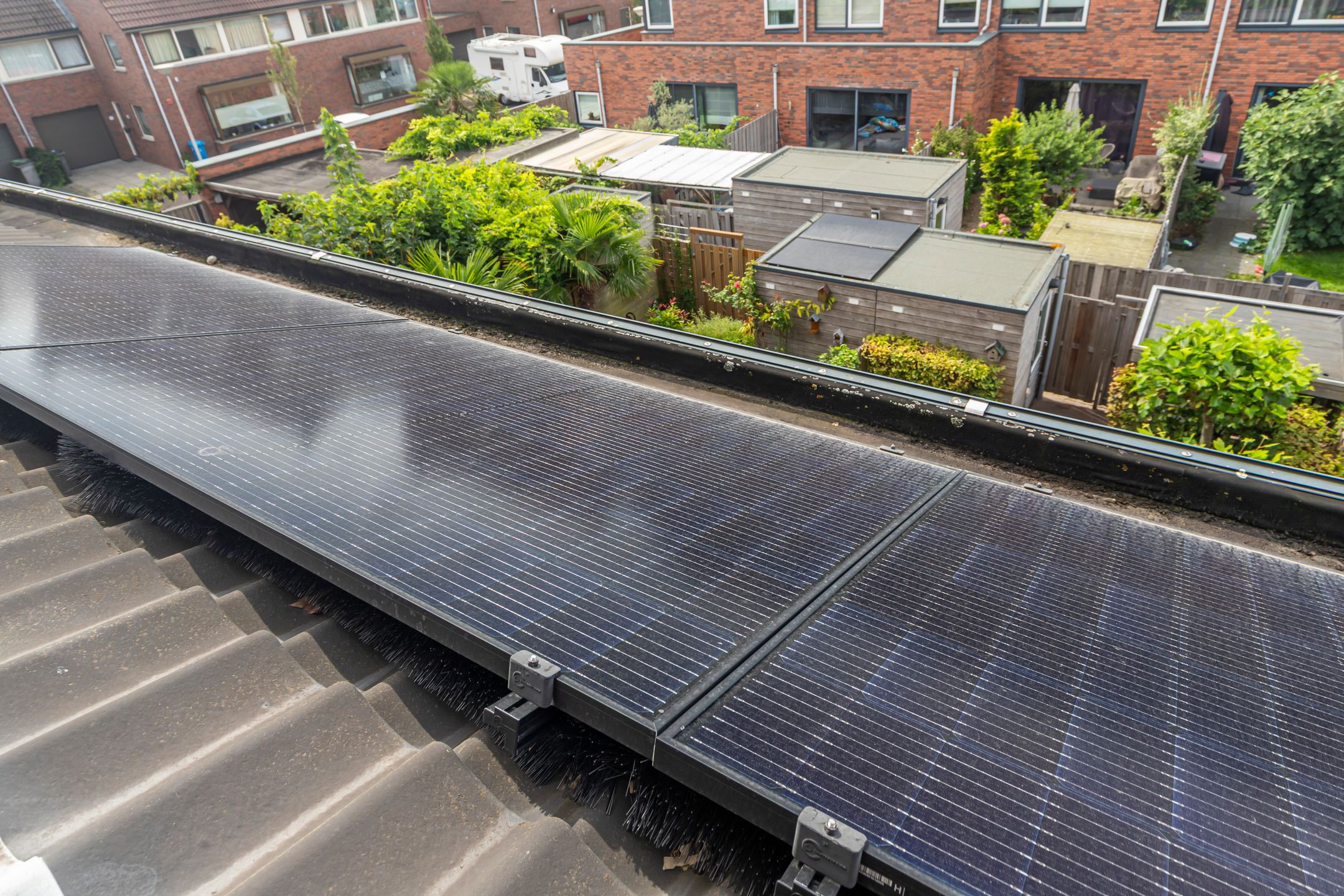 Foto 24 van Juttepeer 42