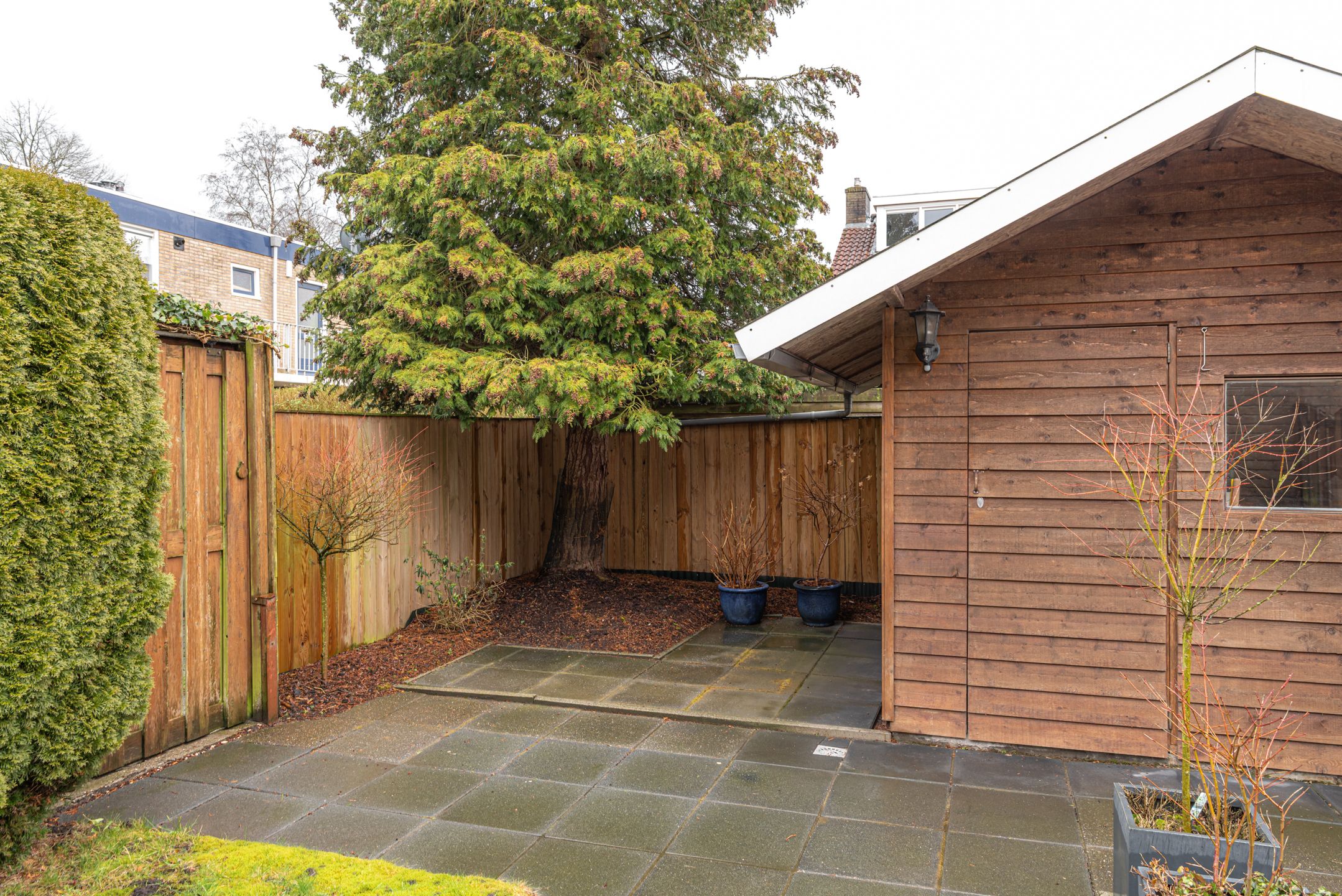 Photo 15 of De Dracht 55