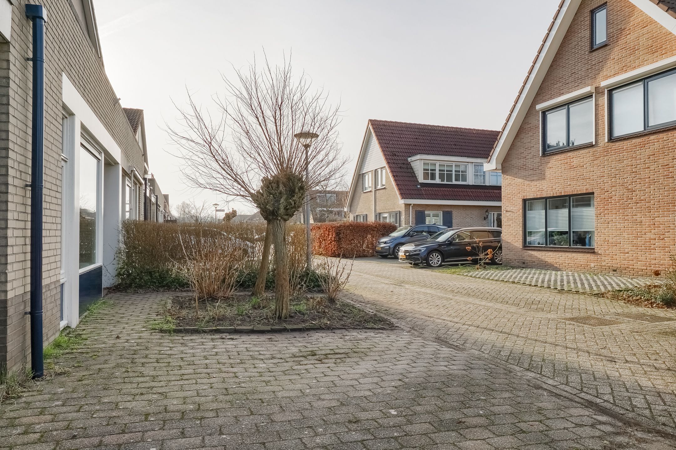 Foto 63 van Jacques Bloemhof 99