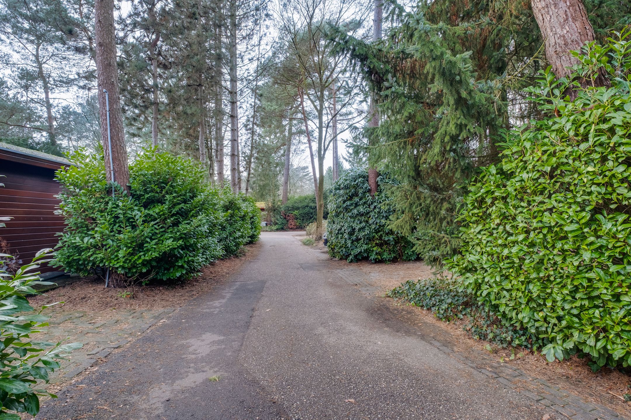 Foto 39 van Ploegdijk 2-304