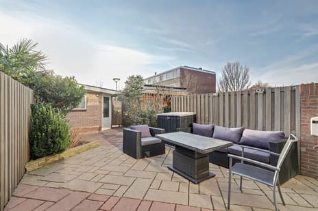 Clematis 15 tertiary image