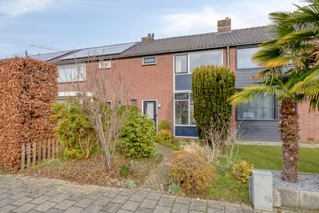 Poortjesgoed thumbnail