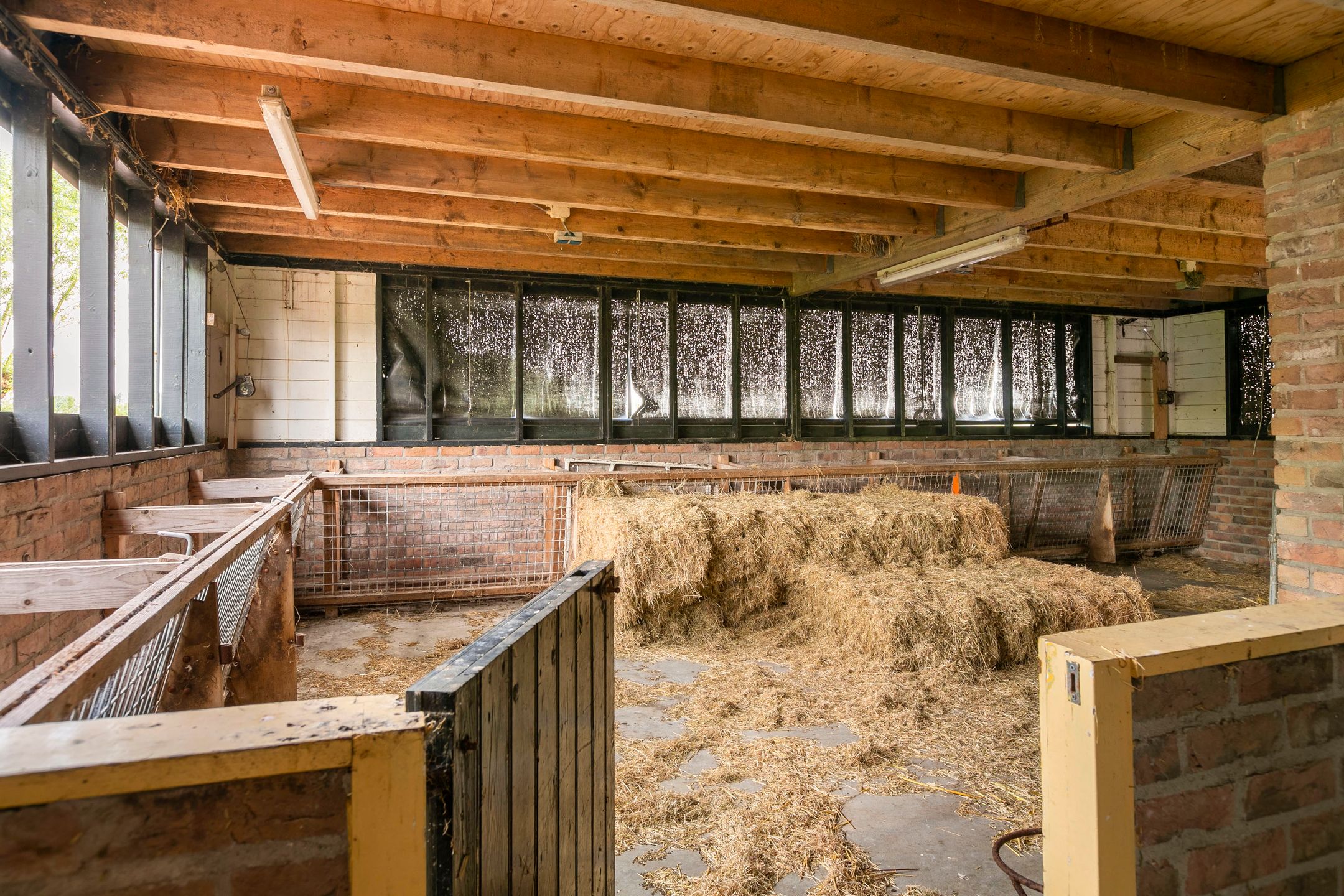 Foto 39 van Egmondermeer 18