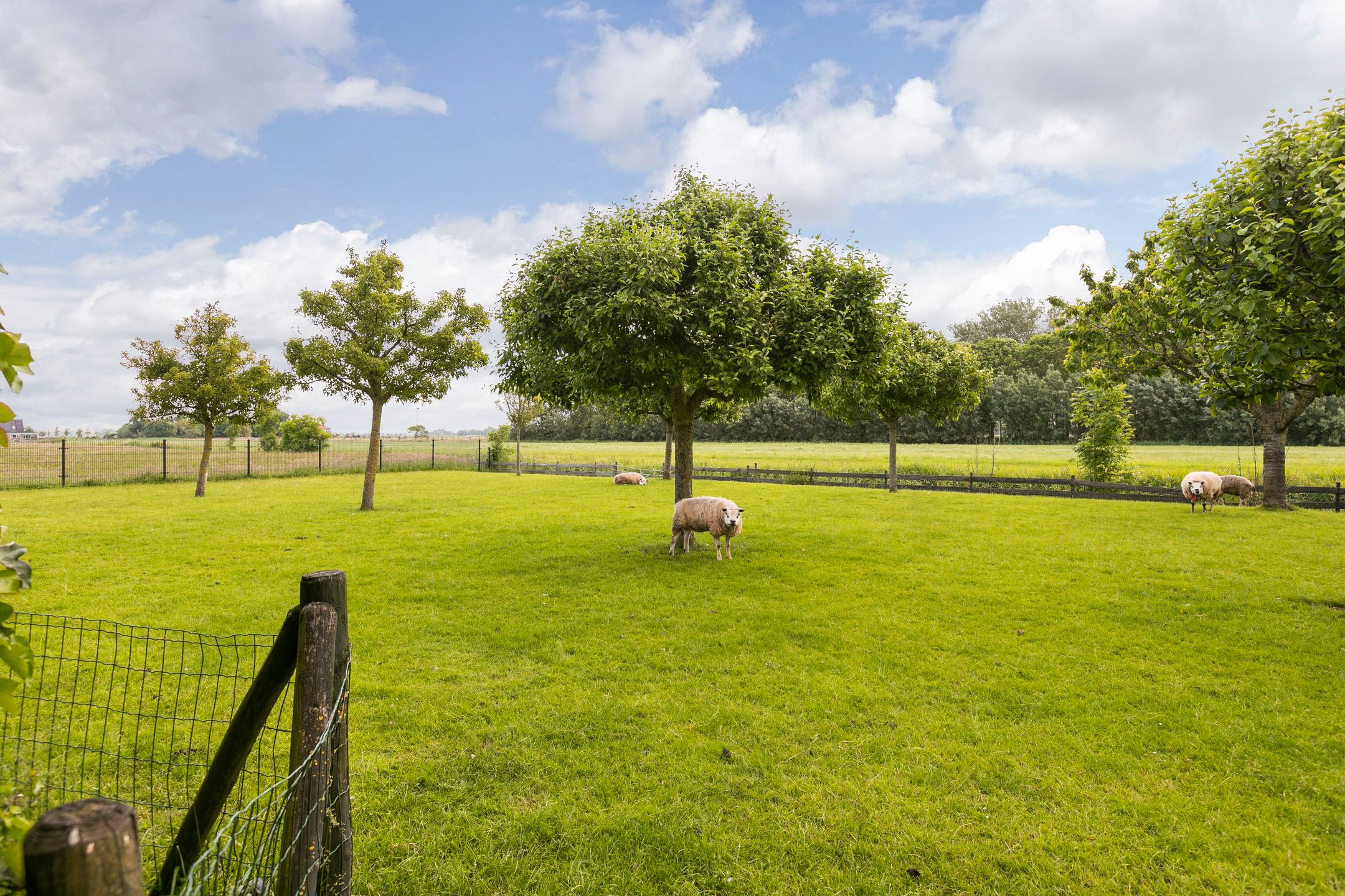 Foto 42 van Egmondermeer 18