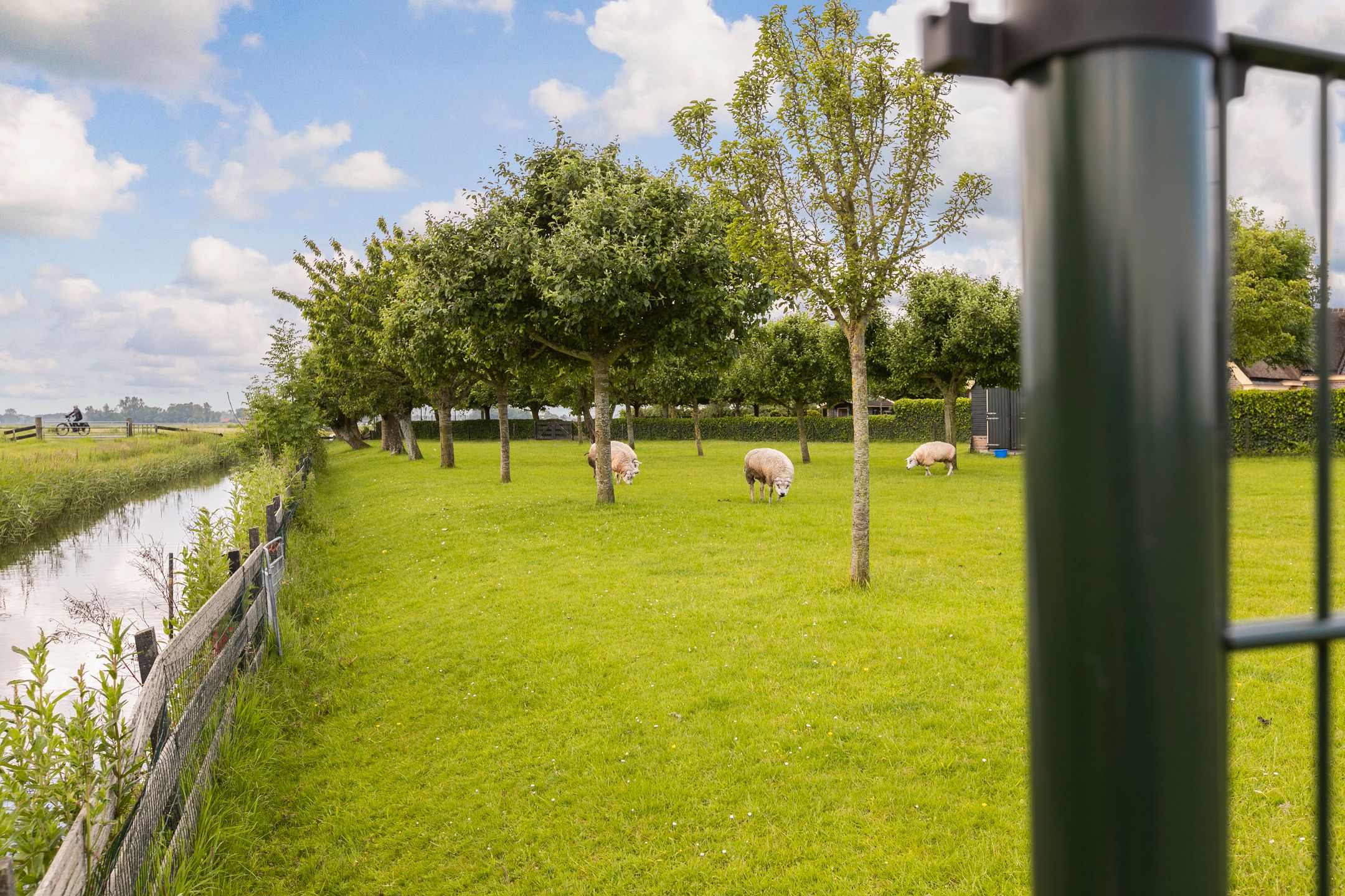 Foto 45 van Egmondermeer 18