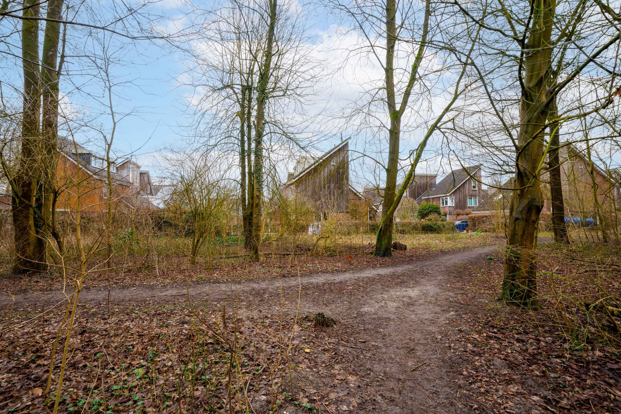 Foto 51 van Hartenveld 36