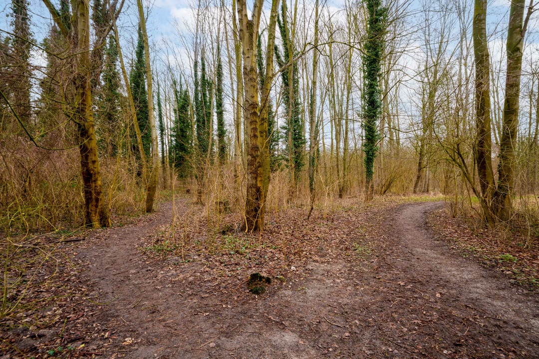 Foto 52 van Hartenveld 36