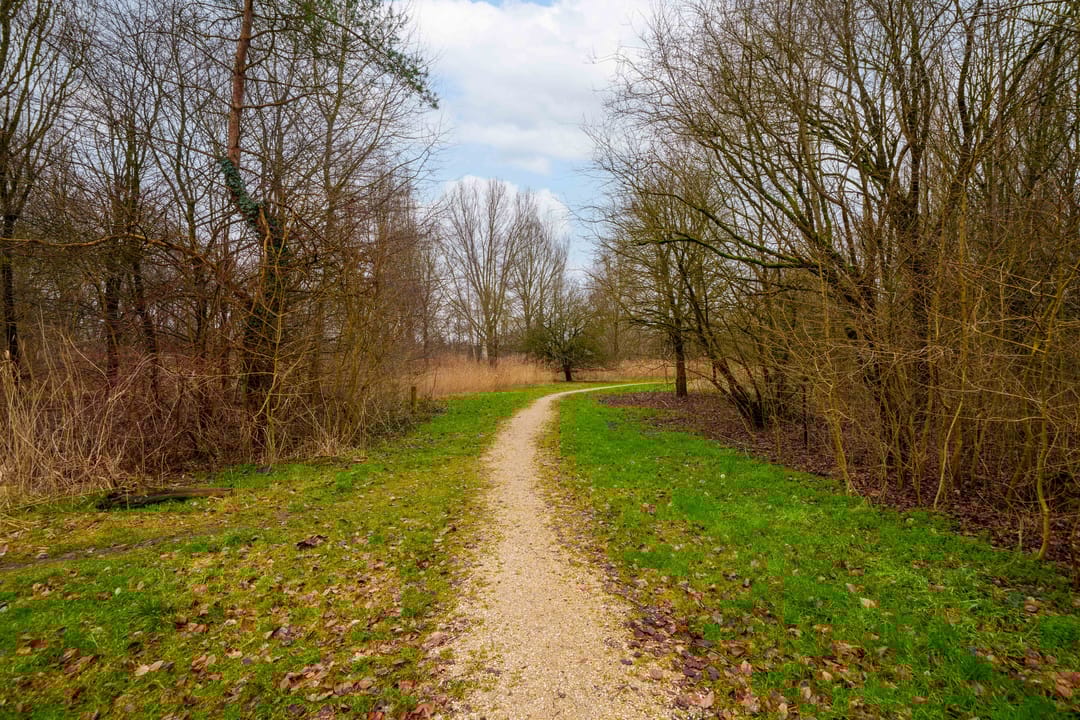 Foto 53 van Hartenveld 36