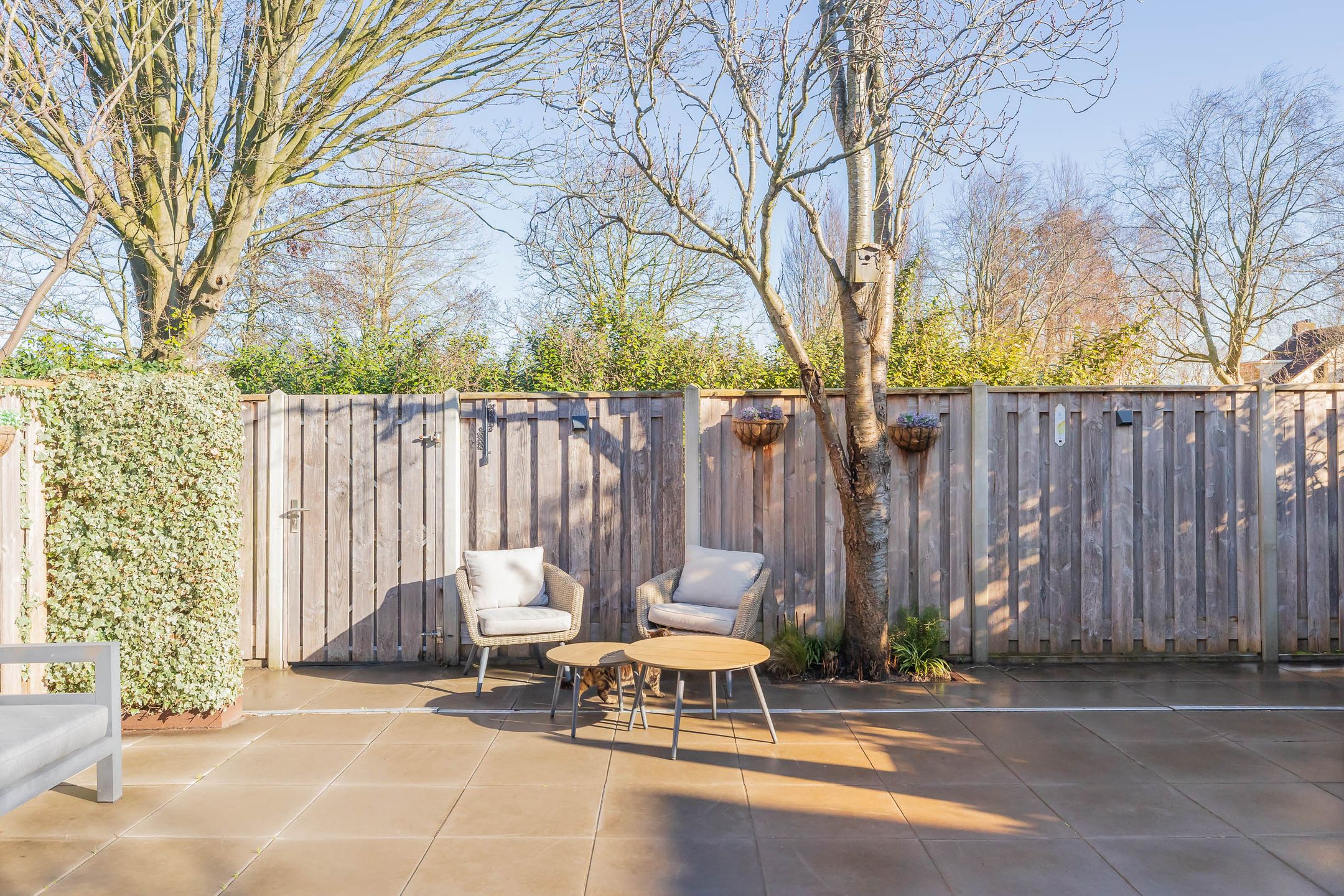 Photo 51 of De Savornin Lohmanlaan 17