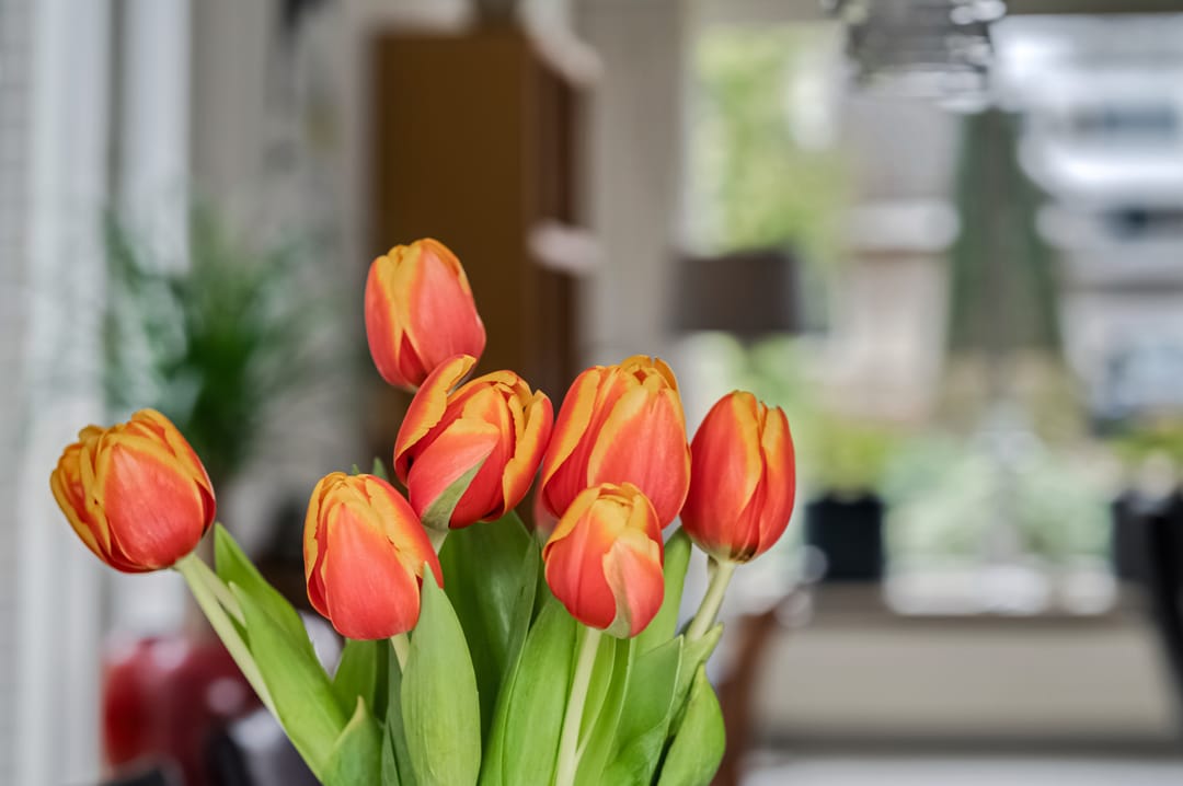 Foto 16 van Hanzehof 23