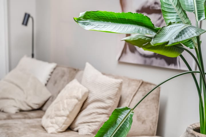 Foto 12 van Zoetendaal 14