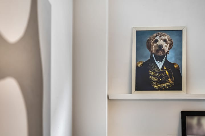 Foto 22 van Zoetendaal 14