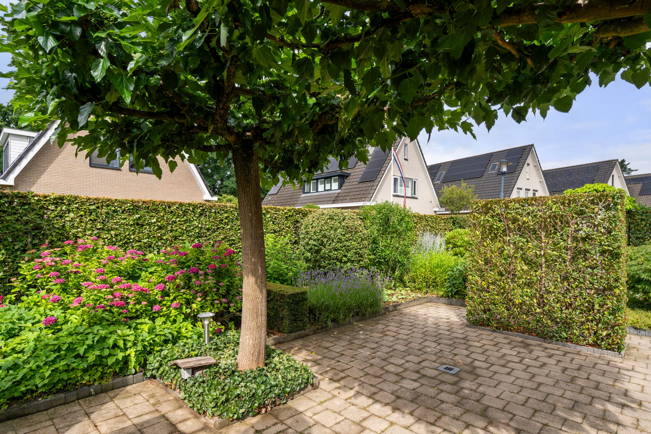 Photo 15 of Bunthoeve 4