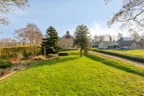 Suderein 9 secondary image