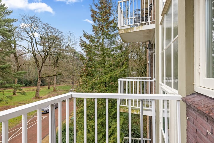 Foto 29 van Cort van der Lindenlaan 34-B