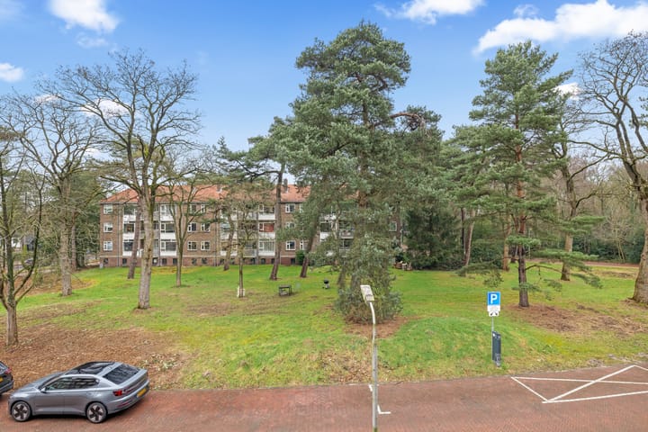 Foto 33 van Cort van der Lindenlaan 34-B