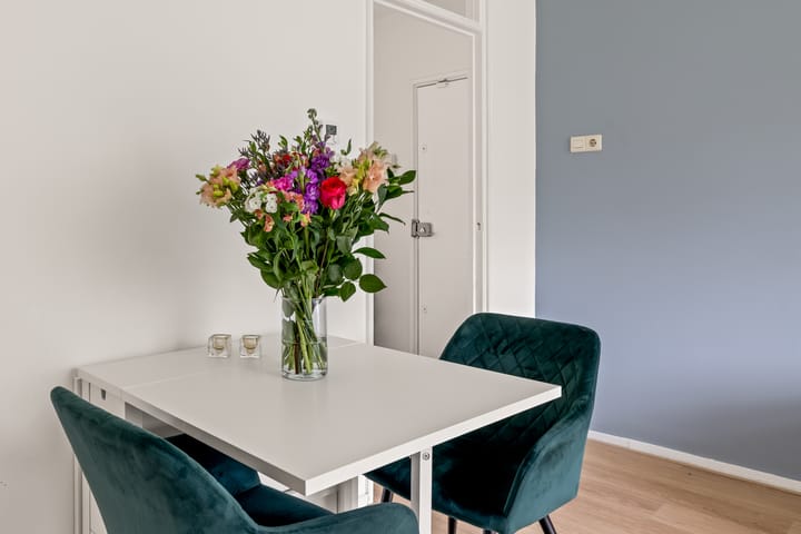 Foto 18 van Cort van der Lindenlaan 34-B