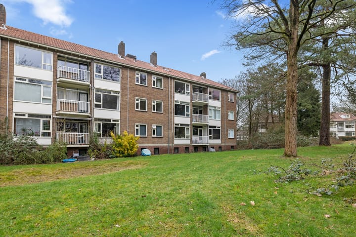 Foto 55 van Cort van der Lindenlaan 34-B