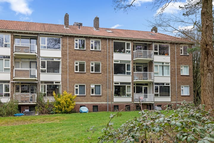 Foto 56 van Cort van der Lindenlaan 34-B