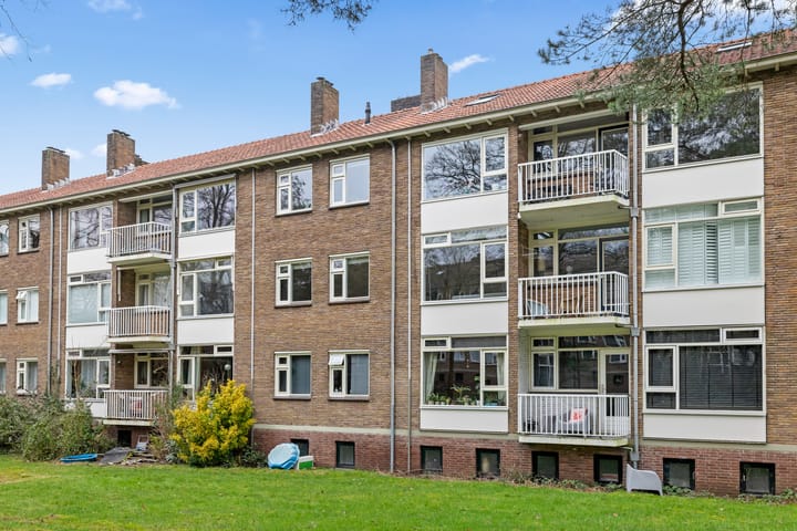 Foto 57 van Cort van der Lindenlaan 34-B