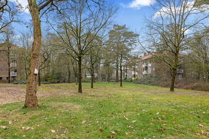 Foto 58 van Cort van der Lindenlaan 34-B