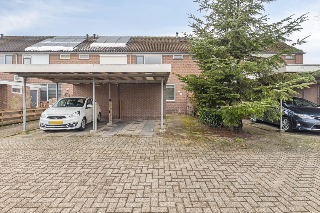 Foto 1 van Ganzepeppel 45