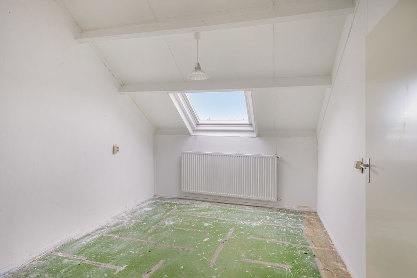 Foto 20 van Ganzepeppel 45