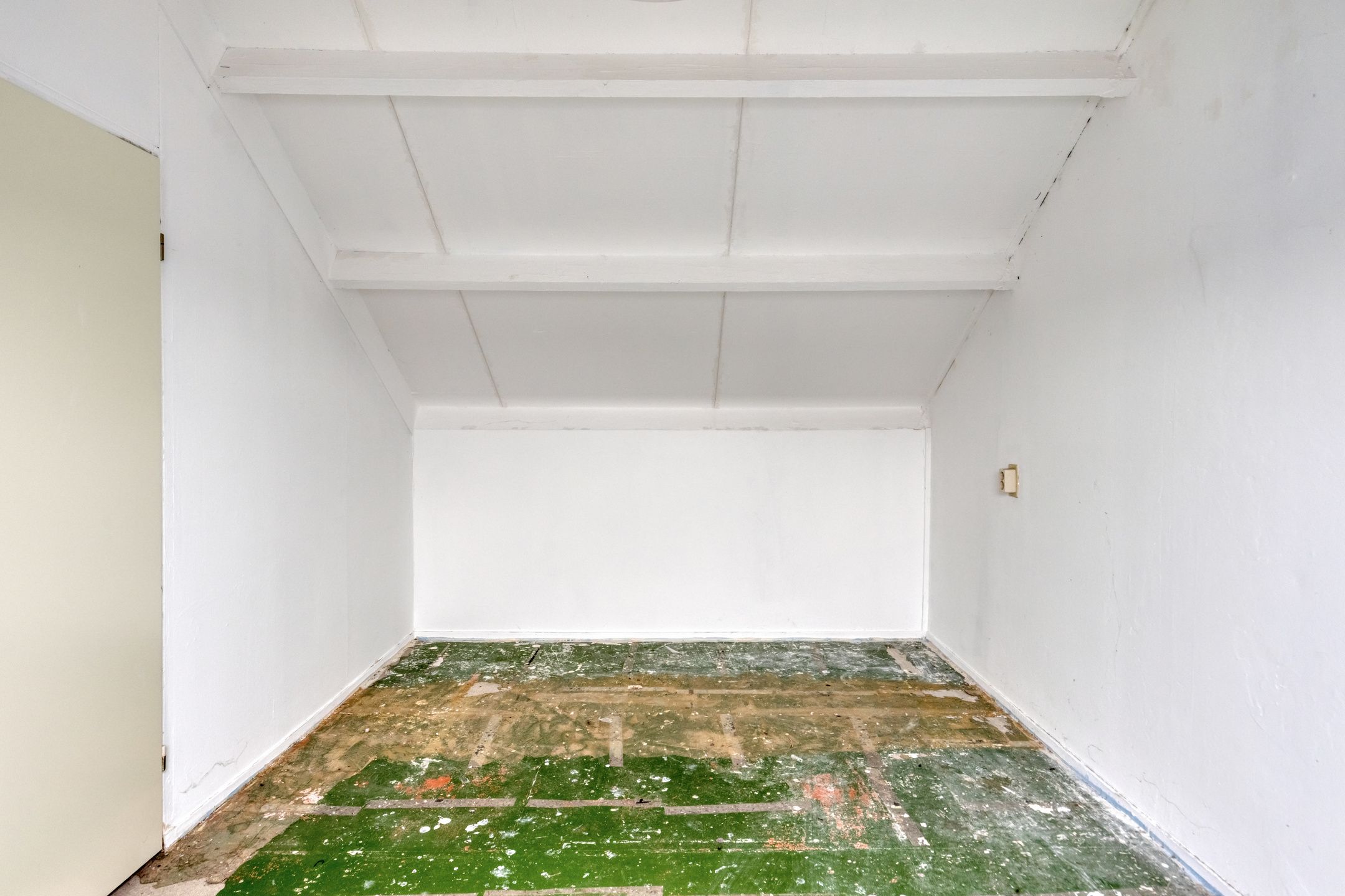 Foto 21 van Ganzepeppel 45