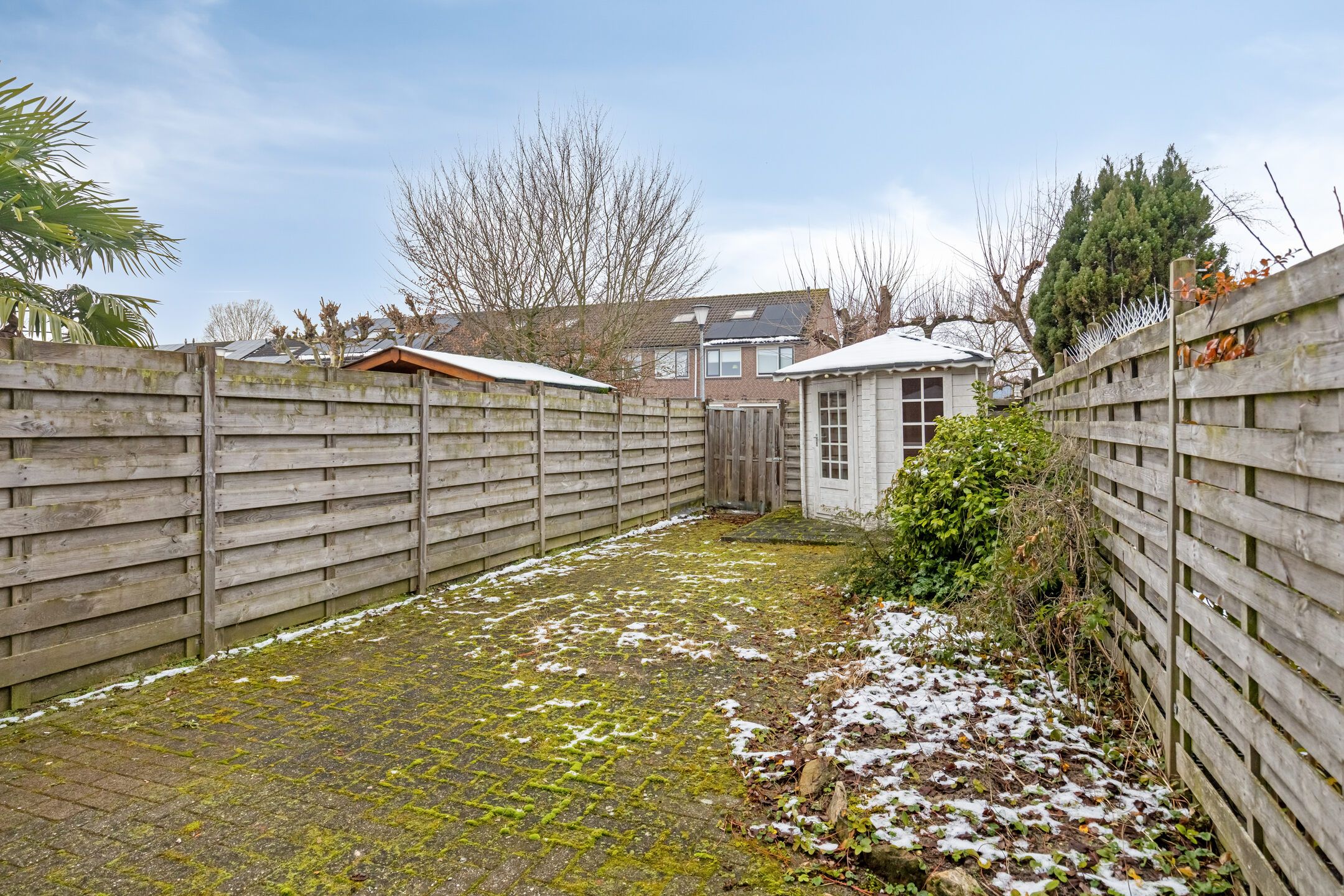 Foto 24 van Ganzepeppel 45