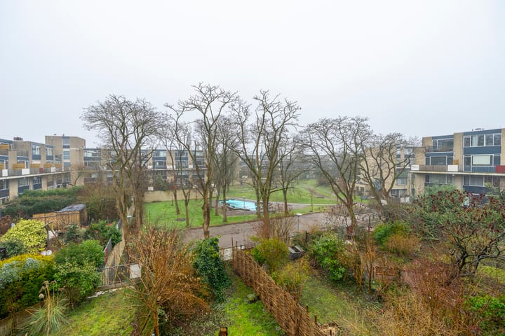 Foto 14 van Texel 55